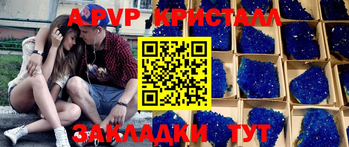 A-PVP СК КРИС Урус-Мартан