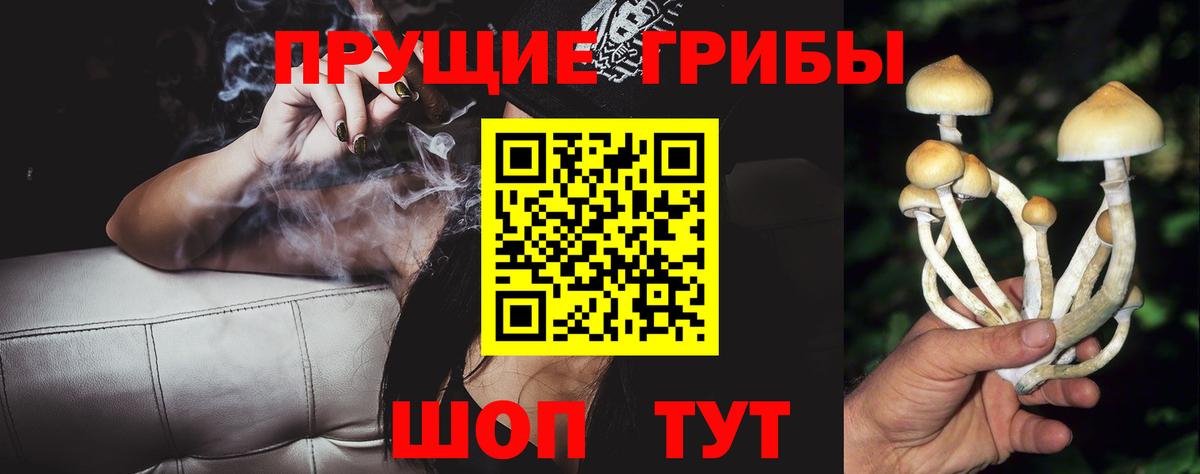Галлюциногенные грибы прущие грибы Урус-Мартан