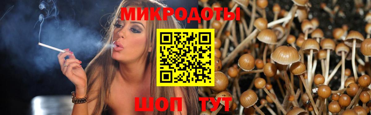 Галлюциногенные грибы Cubensis  Псилоцибиновые грибы MAGIC MUSHROOMS  Урус-Мартан  Вход с VPN 